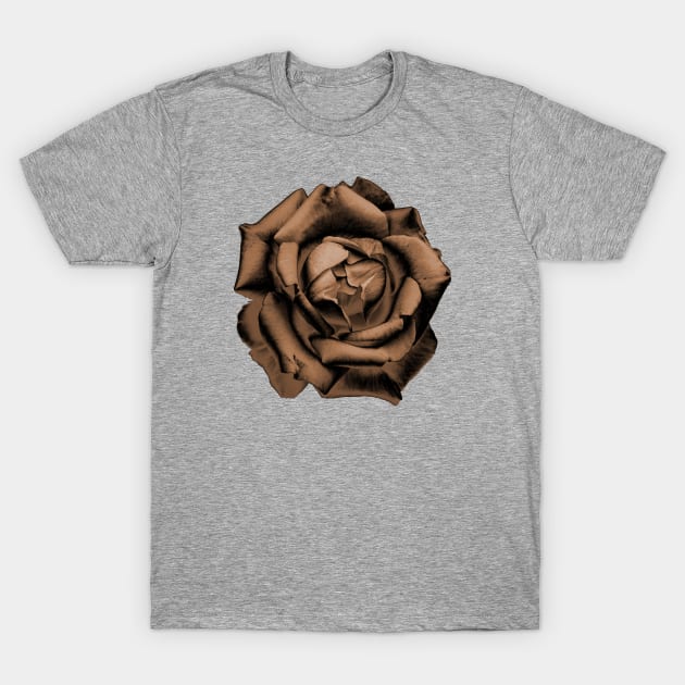 Orange Charcoal Rose T-Shirt by nautilusmisc